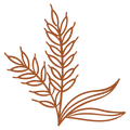 Selected Wheat
