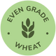 Even grade wheat