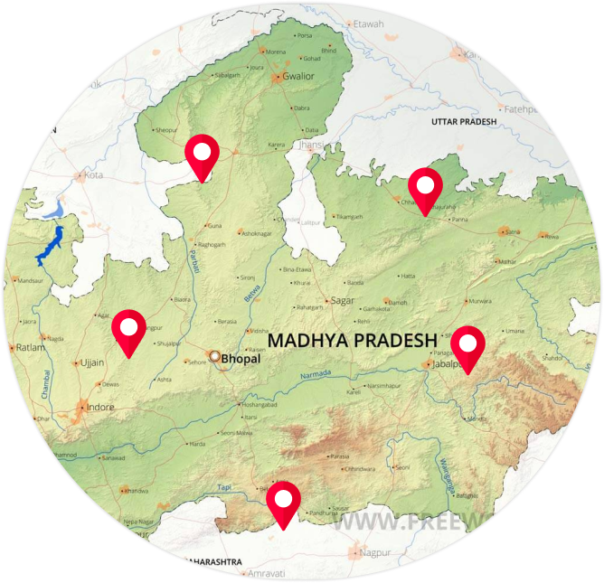 Distribution Network Map