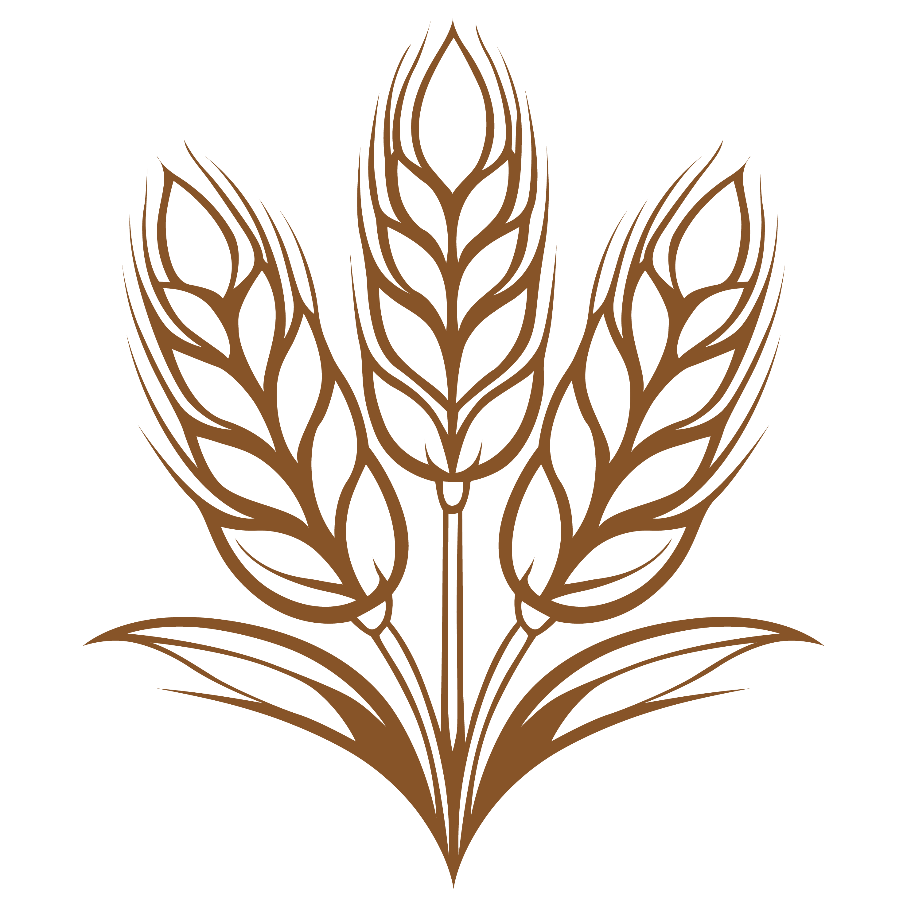 Wheat Cleaning & Selection
