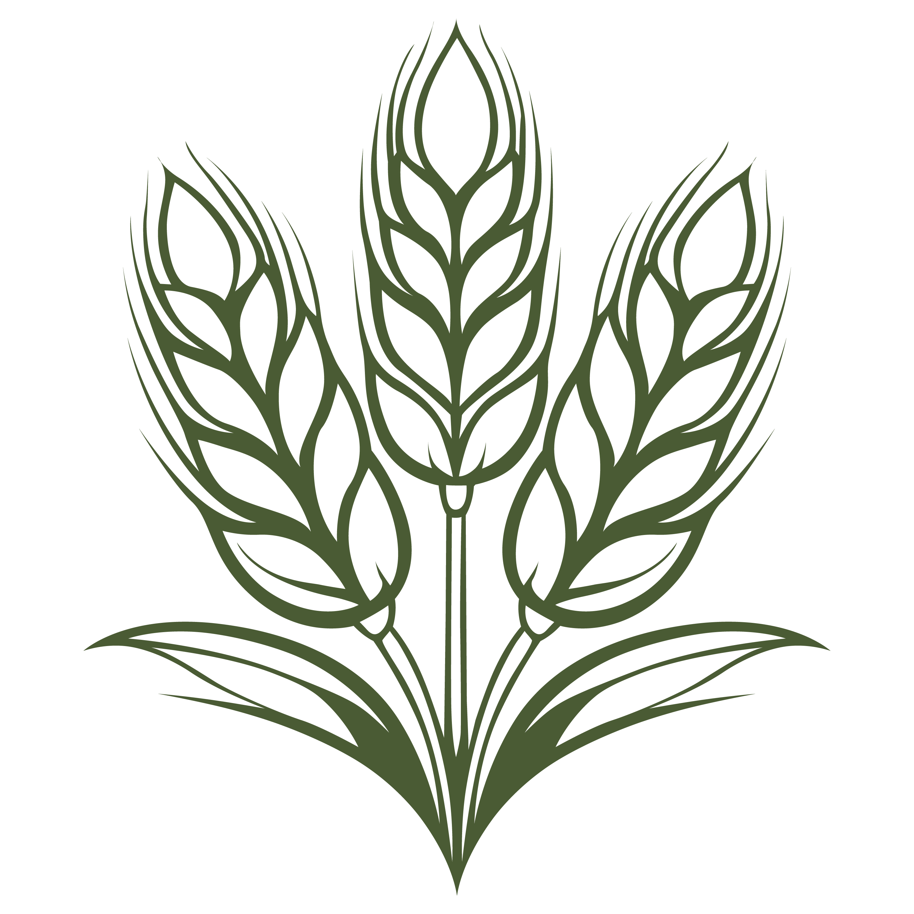 Selected Wheat