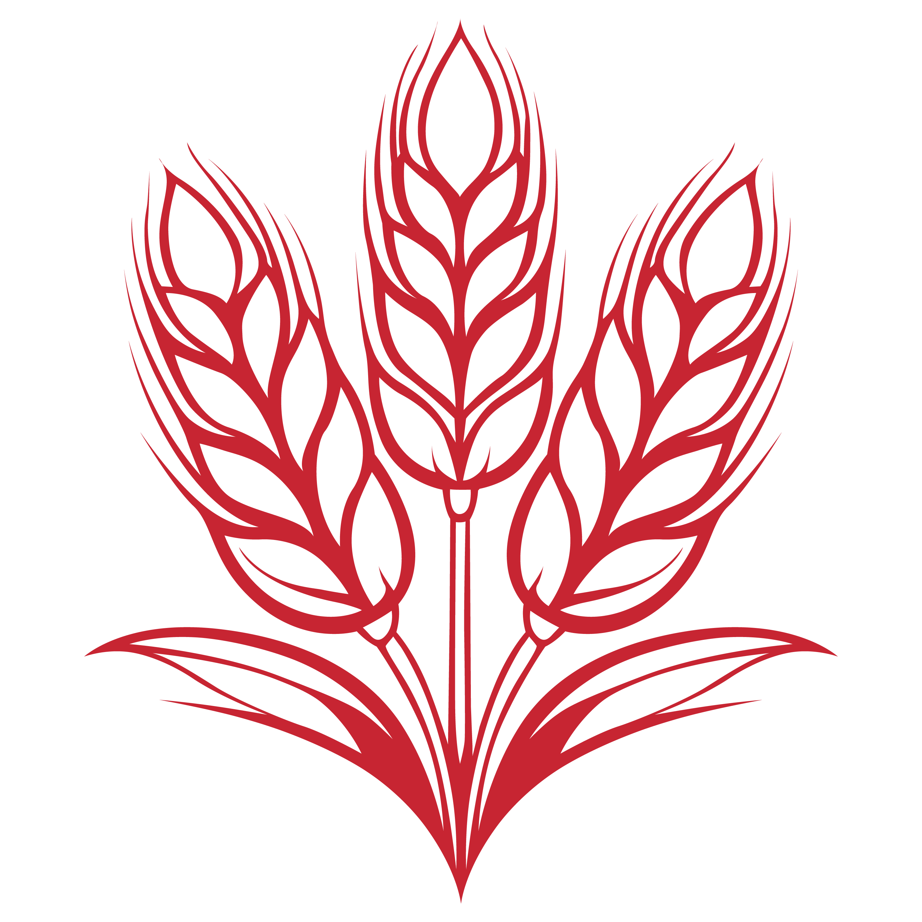 Selected Wheat